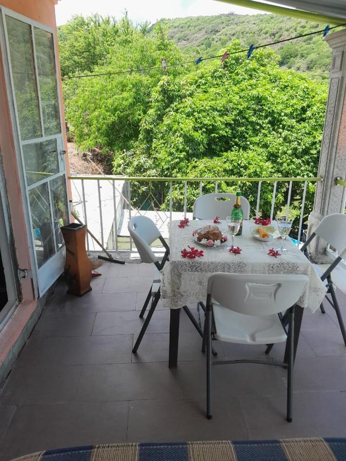 La Belle Du Sud Hébergement de vacances